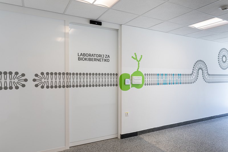 We have renovated our laboratories!