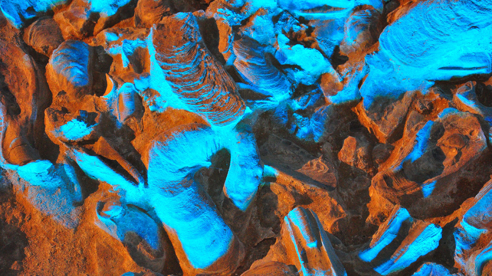 COBIK and Laboratory of Biocybernetics in search for a vaccine against COVID-19