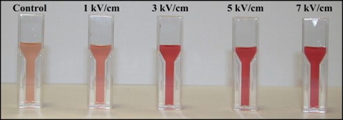 Improvement in the colour of Garnacha grape must after PEF treatment